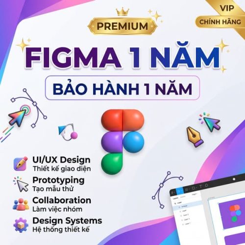 Figma 1 năm